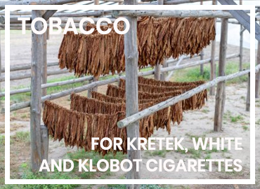 TOBACCO